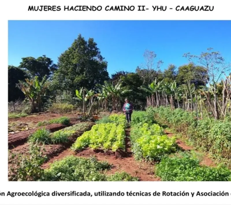 Producción