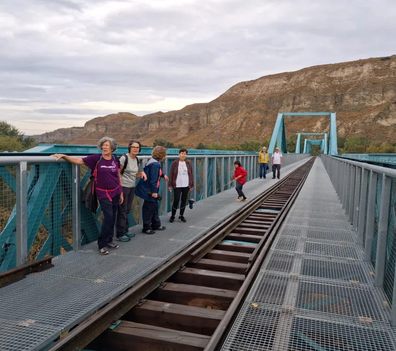 IV Marcha de Arganda- los asistentes cruzando el Puente de la Poveda