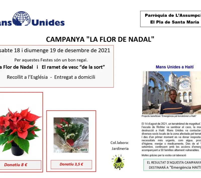 Campaña "La flor de Nadal" 2021