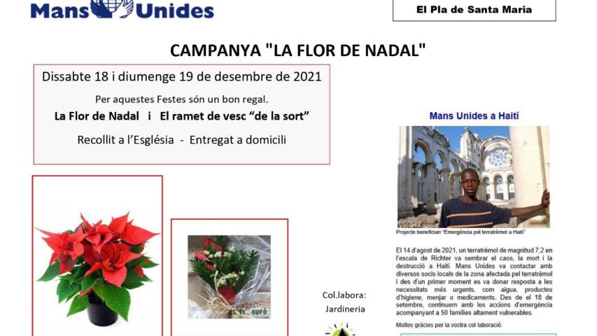 Campaña "La flor de Nadal" 2021