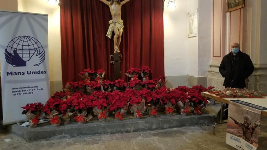 Campaña "Flor de Nadal"