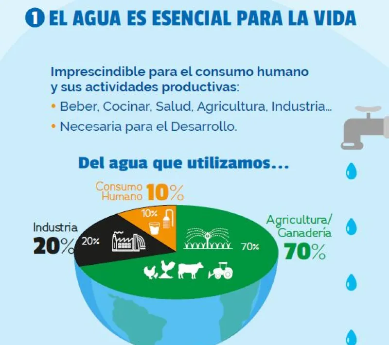 Exposición "El agua es esencial para la vida"