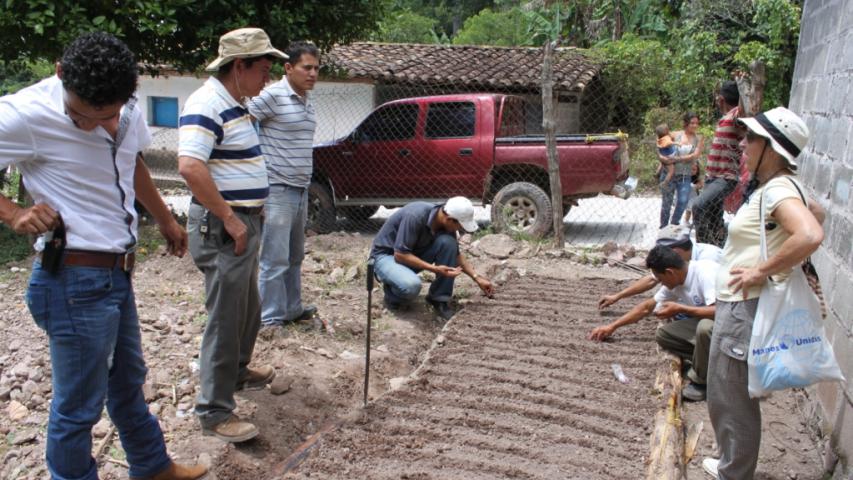 29 com. de ocote dolores