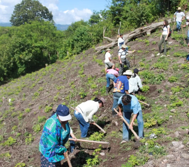 29 comunidad de ocote veracruz