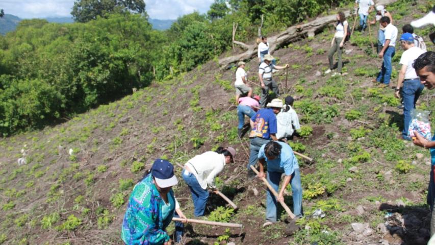 29 comunidad de ocote veracruz