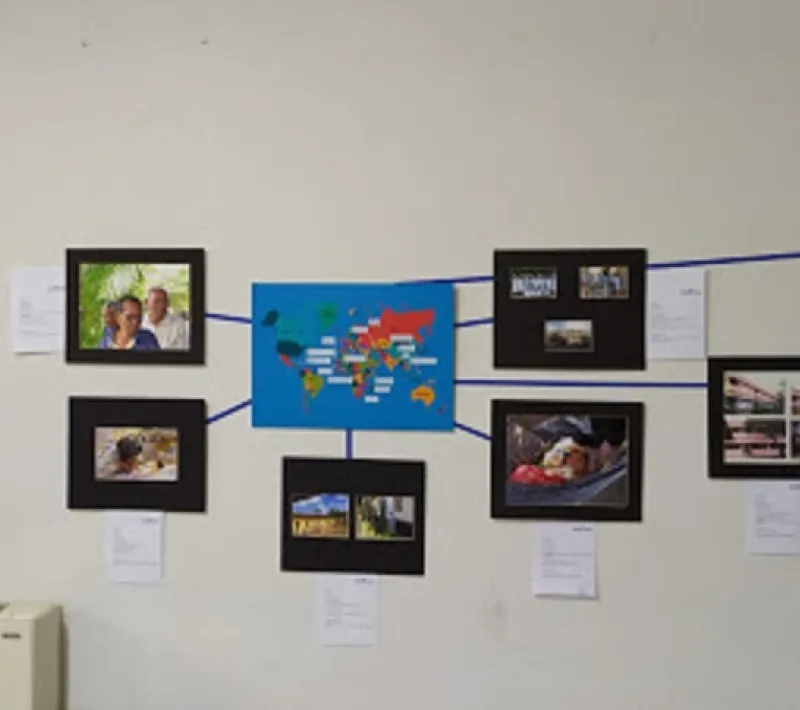 Sector Educativo