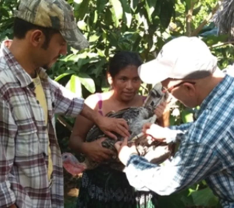 34. guatemala foto sagrada tierra manos unidas 2