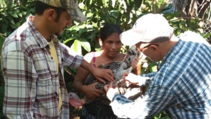 34. guatemala foto sagrada tierra manos unidas 2