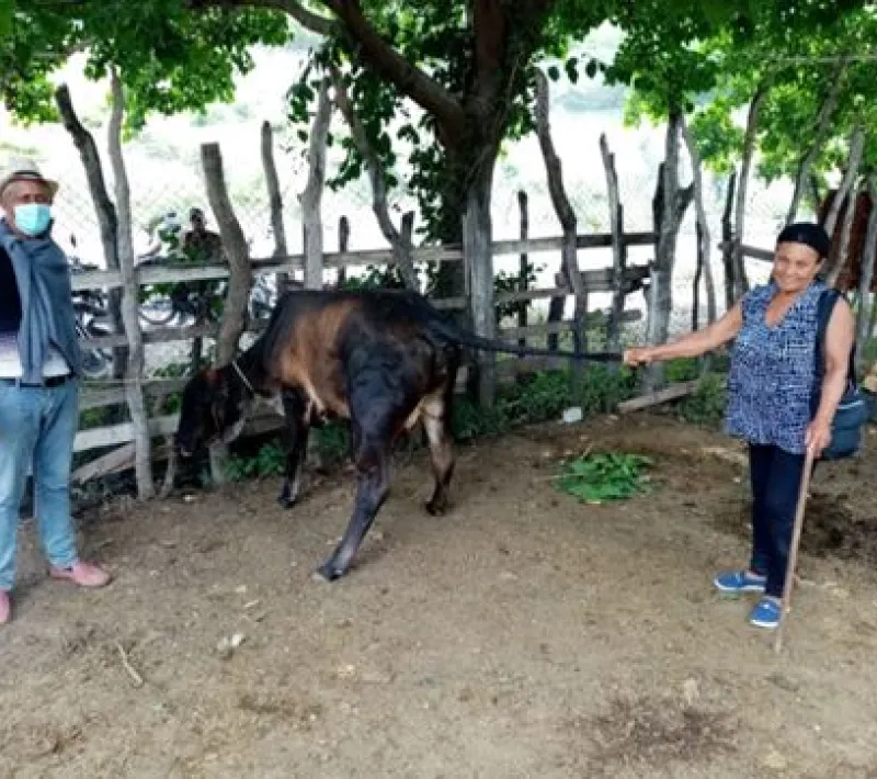Mejora de las condiciones de vida de la población campesina en República Dominicana