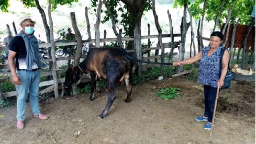 Mejora de las condiciones de vida de la población campesina en República Dominicana