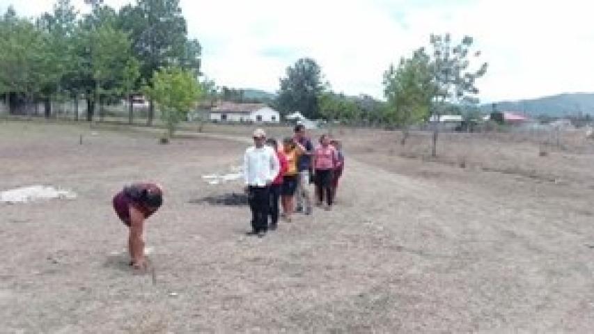 45