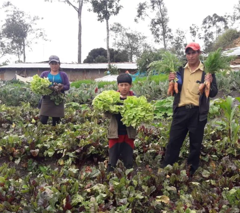 Familia Olivera Diaz de la Comunidad de Yanapaccha mostrando la diversidad de hortalizas en su huerto familiar