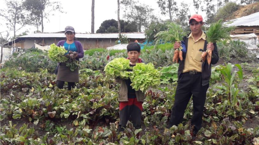 Familia Olivera Diaz de la Comunidad de Yanapaccha mostrando la diversidad de hortalizas en su huerto familiar