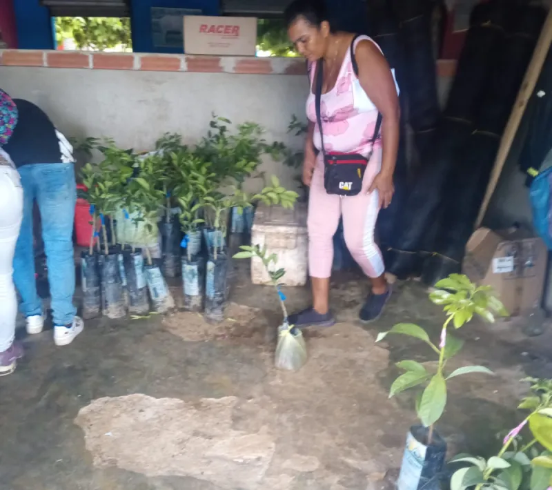 54730 entrega de insumos bosques aguasnegras y palma esteral 2