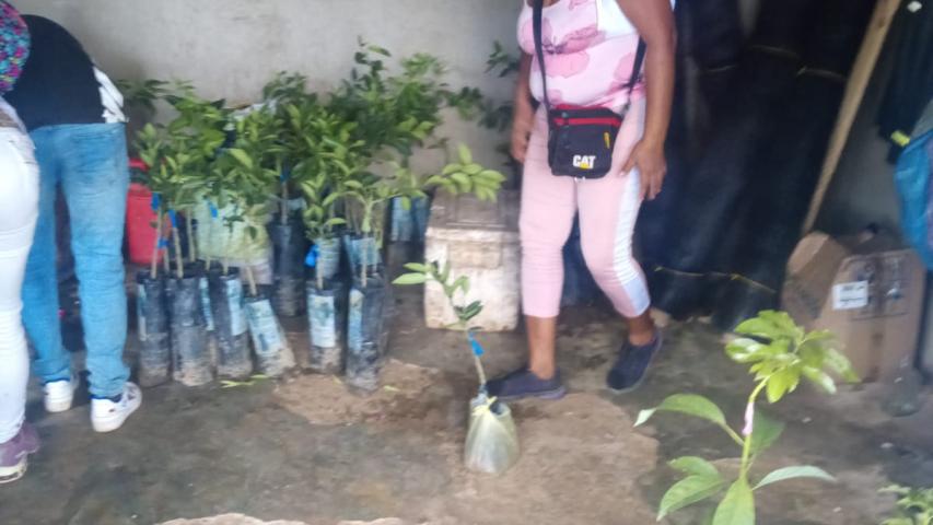54730 entrega de insumos bosques aguasnegras y palma esteral 2