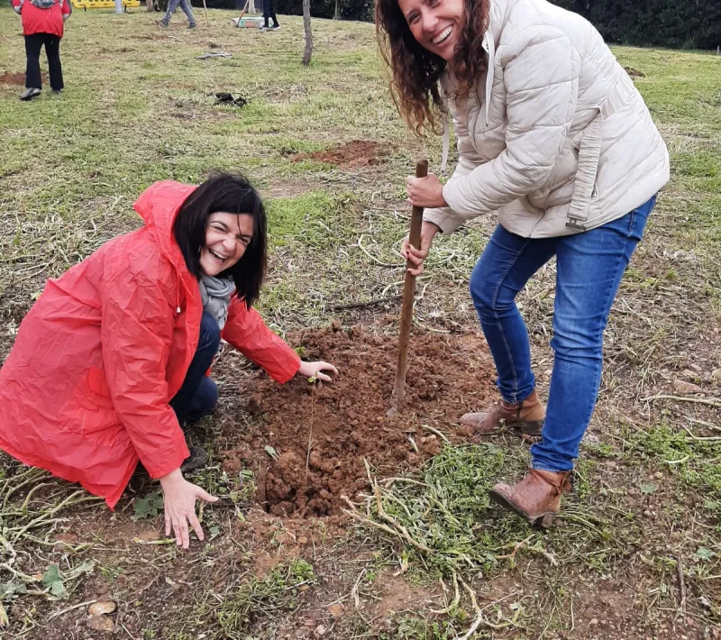 5d29adb0 4377 430c b503 9e6563dafc9f