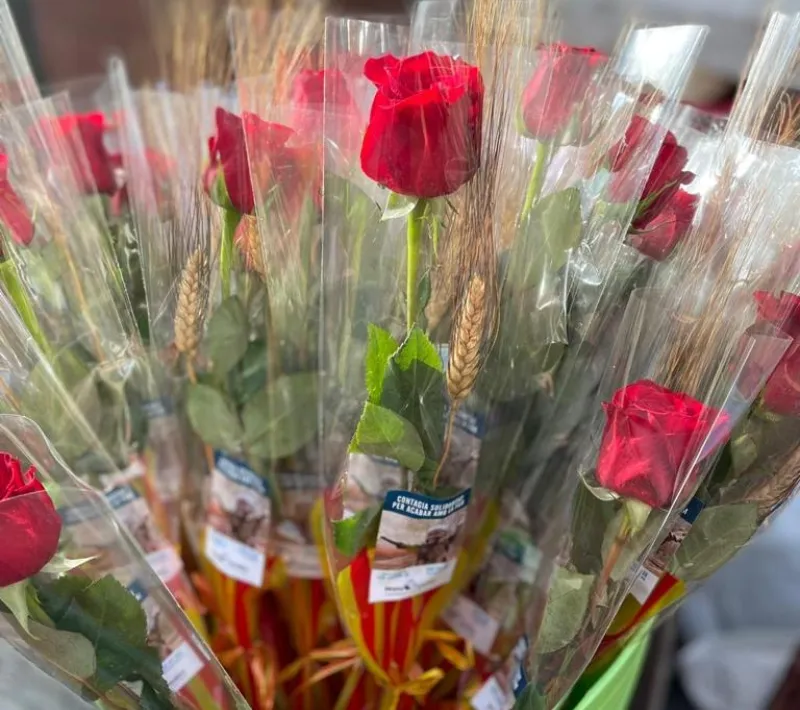 Sant Jordi 2022 comarcal Terrassa