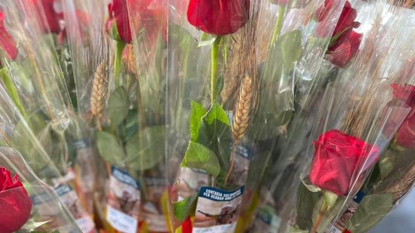 Sant Jordi 2022 comarcal Terrassa