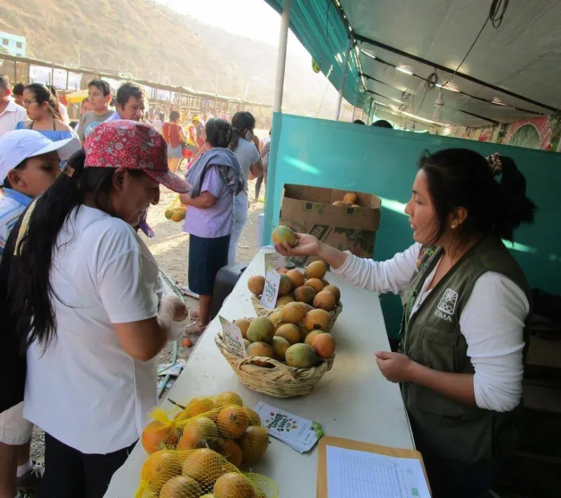 Día Mundial del Medio Ambiente 2020. Proyecto Manos Unidas en Quisqui (Perú). Foto: IDMA.