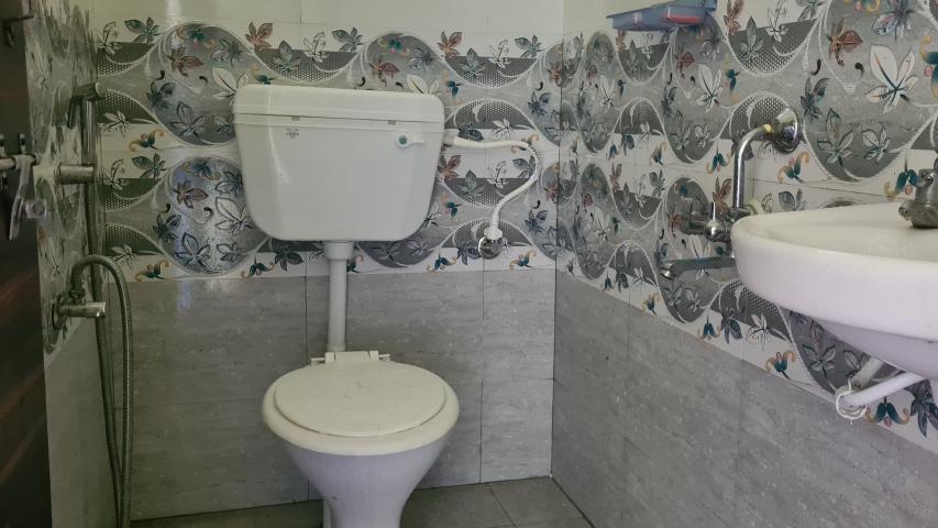 75288 fotos 7 20220910