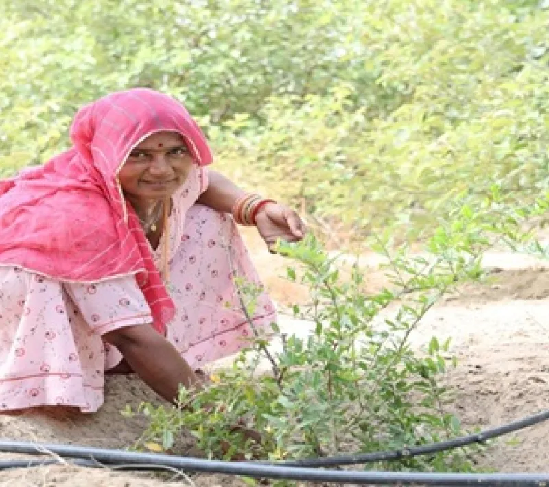 76728 reforestacion