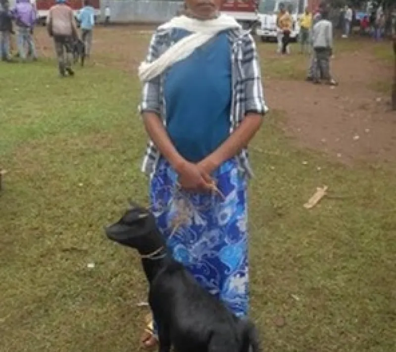 77688 cuidadora animales
