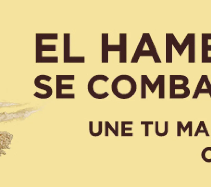 960x202px manosunidas pozo
