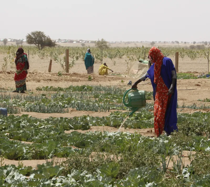 Mauritania - Foto Ana Pérez Manos Unidas