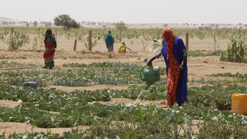 Mauritania - Foto Ana Pérez Manos Unidas