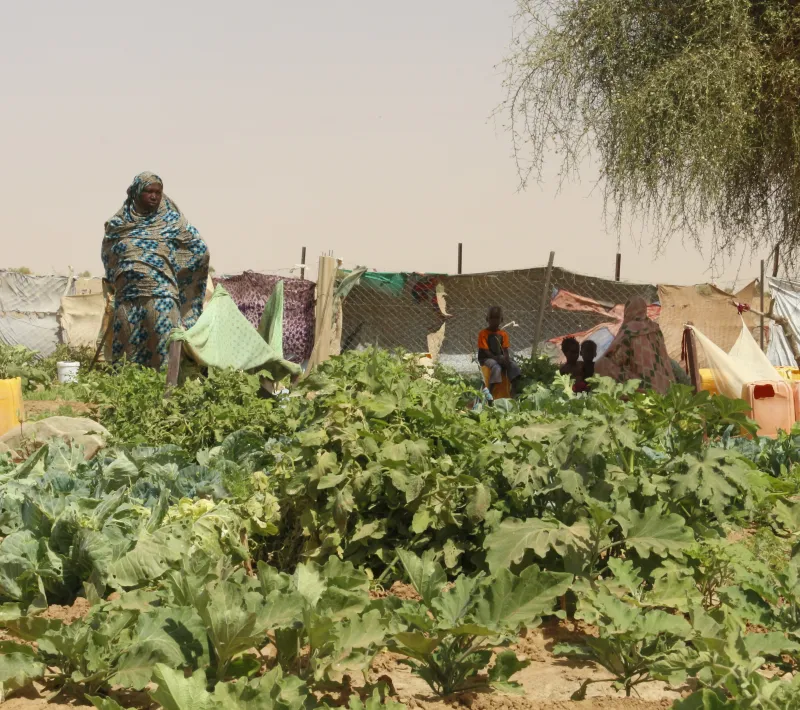 Mauritania - Foto Ana Pérez Manos Unidas