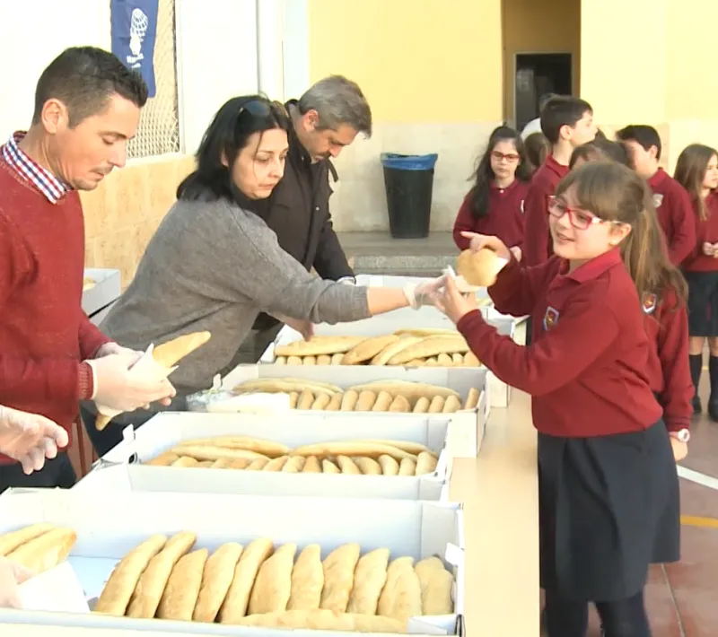 actividad. foto manos unidas