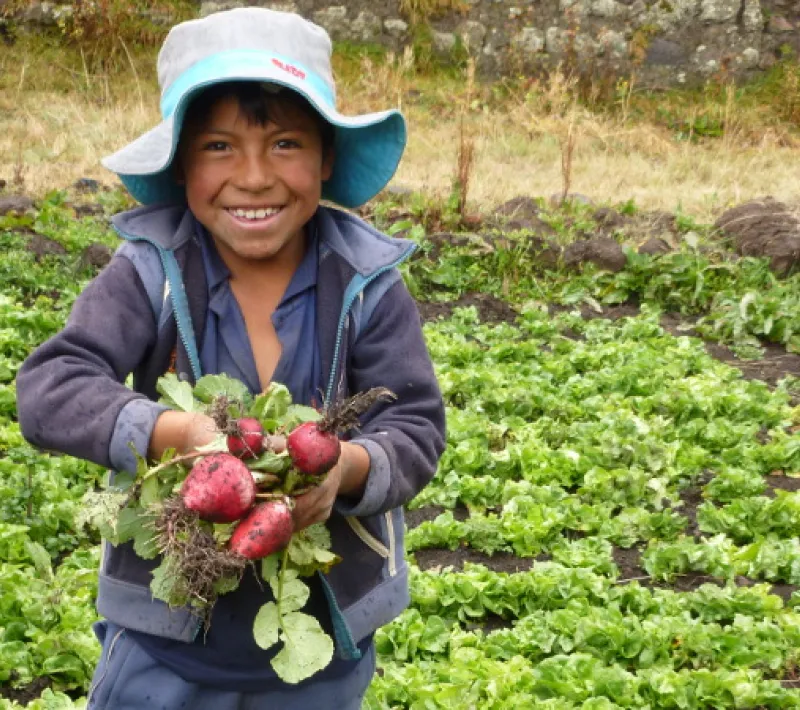 Niño agricultor del Perú