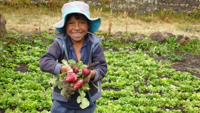 Niño agricultor del Perú