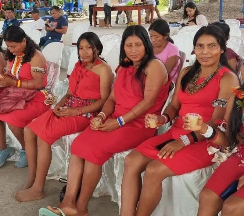 amazonia 3