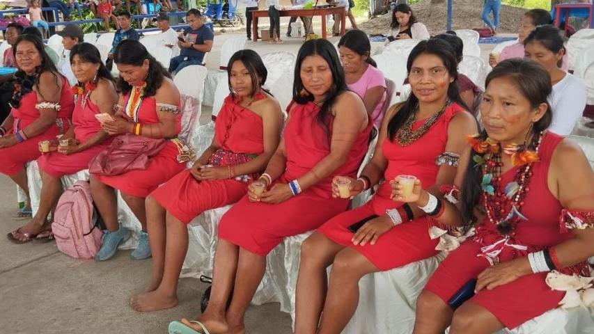 amazonia 3