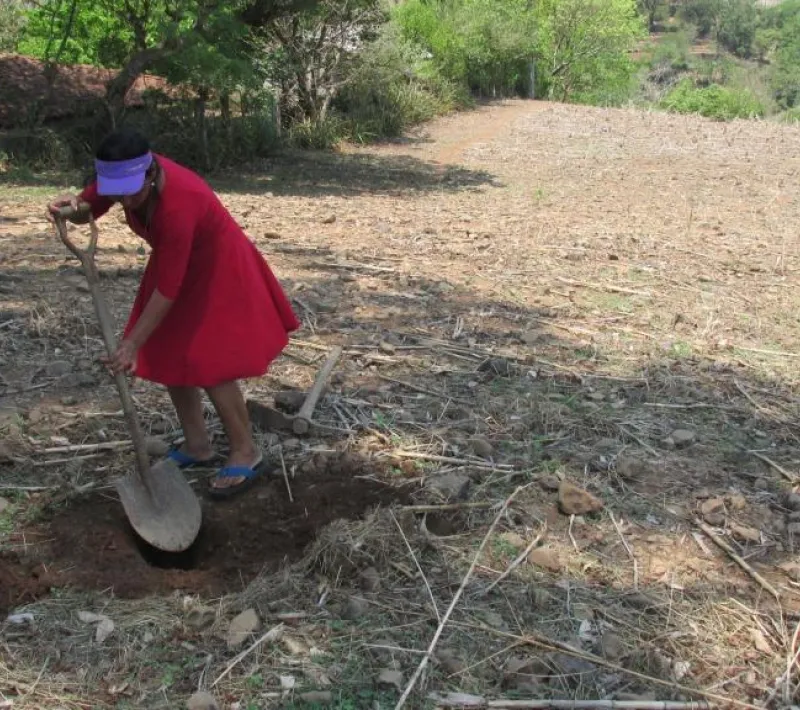 analisis de suelo en san adres el salvador proy. mu sal71503