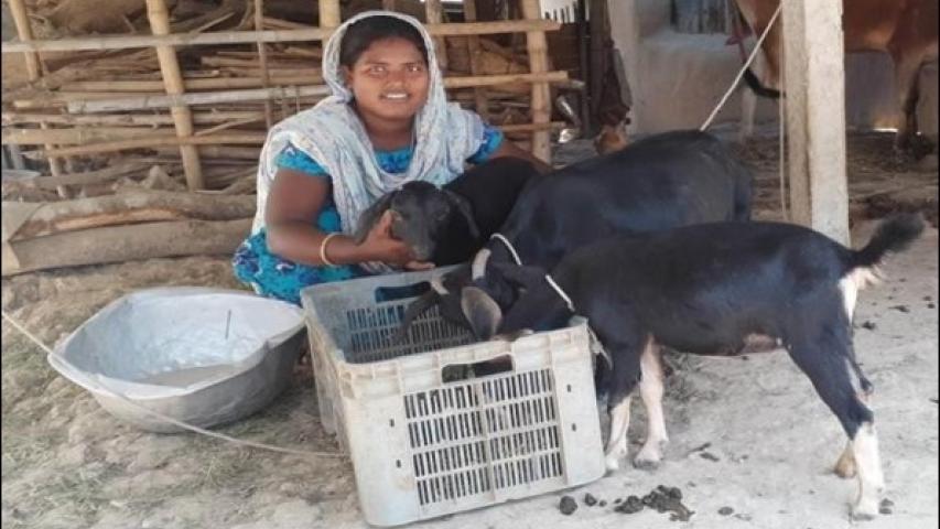 ban77329.cabras