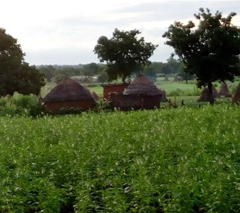 benin1
