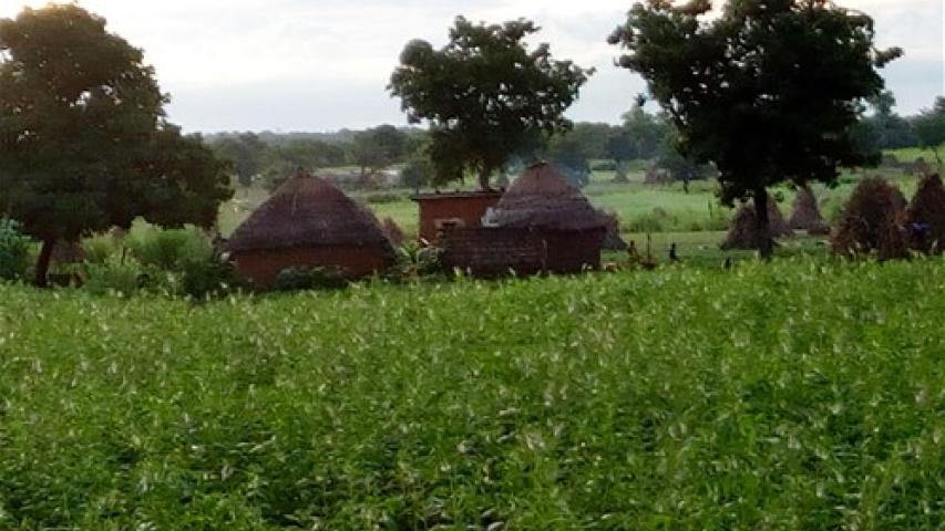 benin1