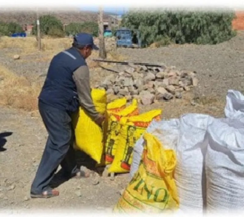 bol76875 13
