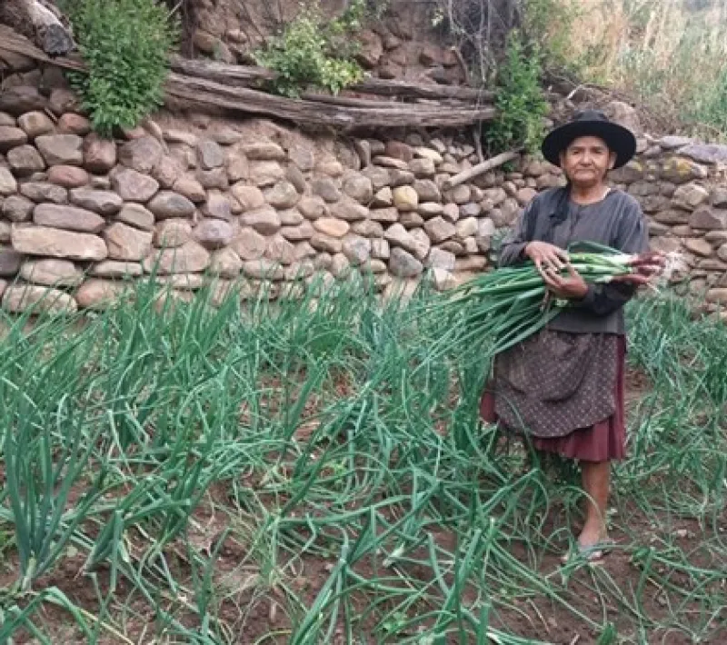 Mejora de calidad de vida de familias de la Serranía del Iñao (Bolivia)