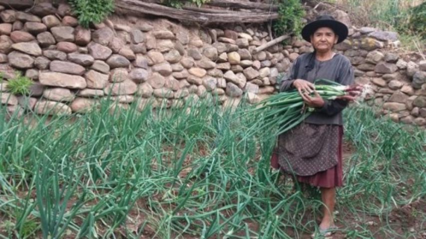 Mejora de calidad de vida de familias de la Serranía del Iñao (Bolivia)