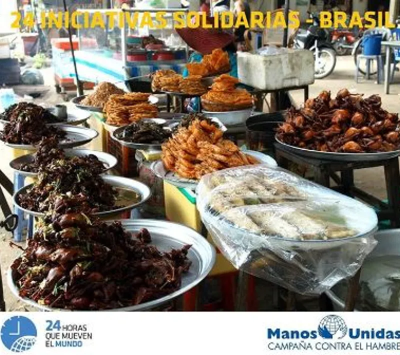 brasil