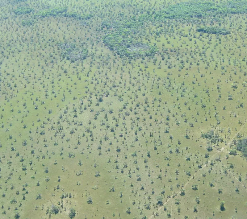 brasil junio2012 2 210