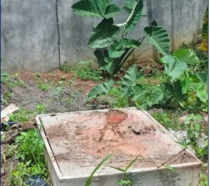 cam7