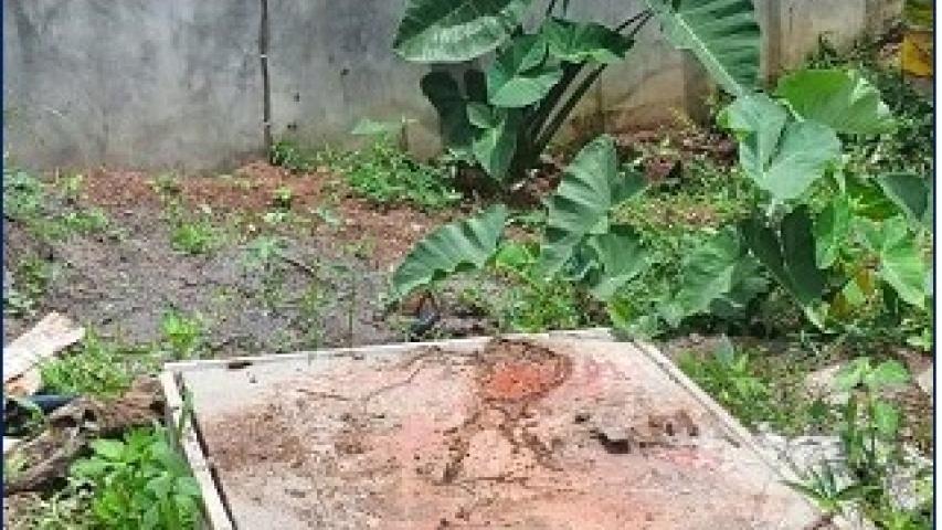 cam7