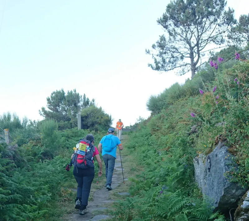 Voluntarios de Manos Unidas Madrid pereginan a Santiago de Compostela