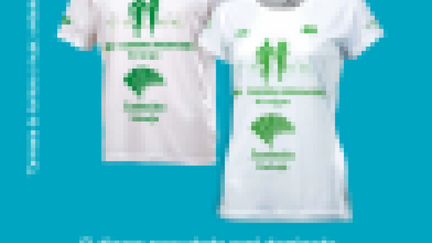 camiseta
