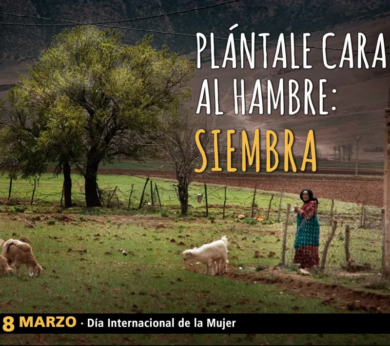 campana2016 dia mujer otis mmuu