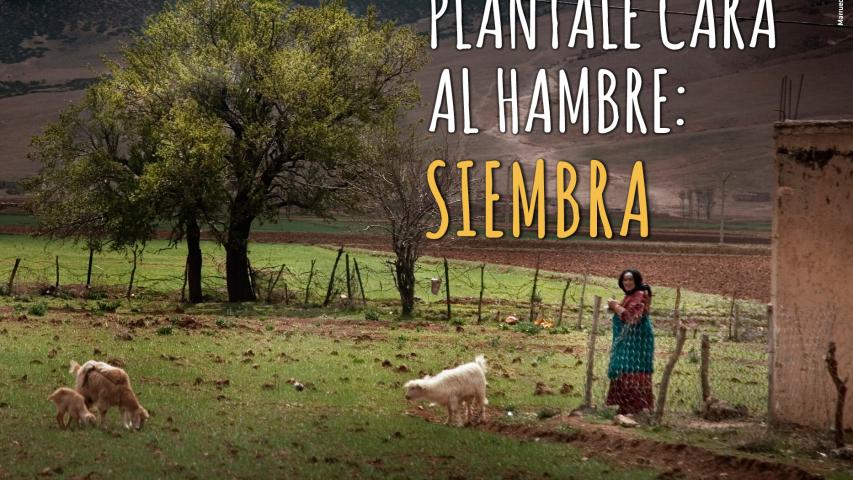 campana2016 dia mujer otis mmuu
